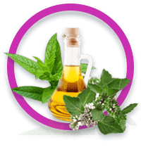 Mentha Piperita Oil